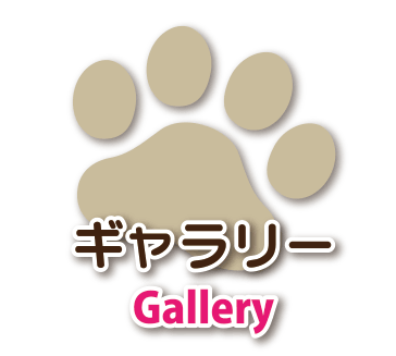 トリミングカット集