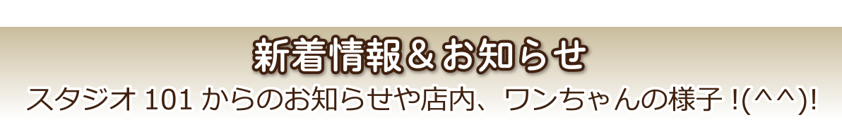 店舗からのお知らせ